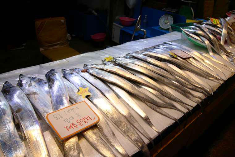 済州島のもう一つの特産品の太刀魚