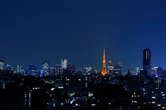 ザ・プリンス さくらタワー東京 眺望例