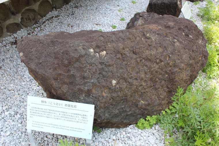 秋吉台科学博物館の庭には岩石が展示