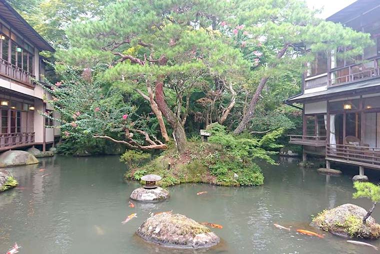 新井旅館　池