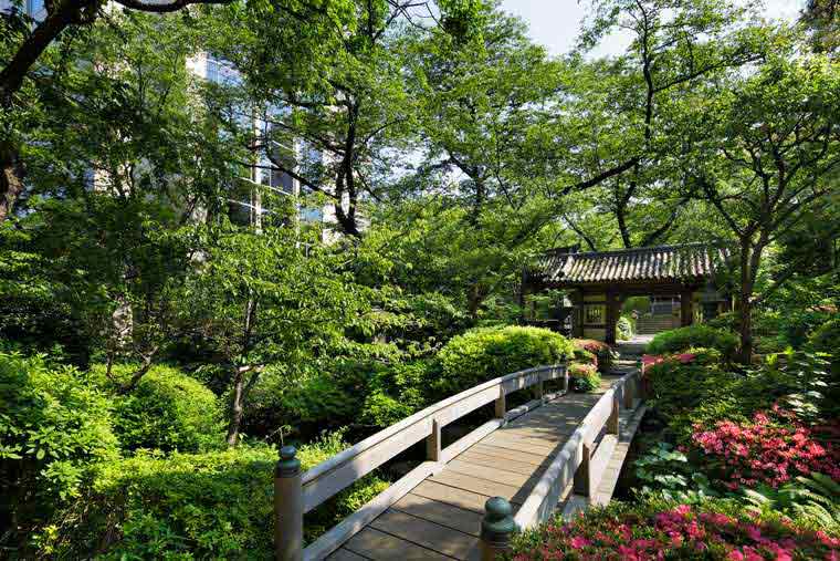 グランドプリンスホテル新高輪　クラブフロア　日本庭園