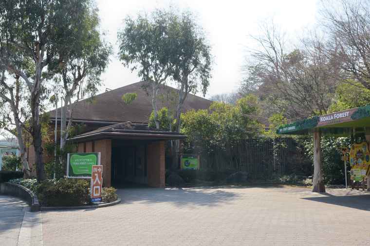 名古屋　東山動植物園　コアラ舎