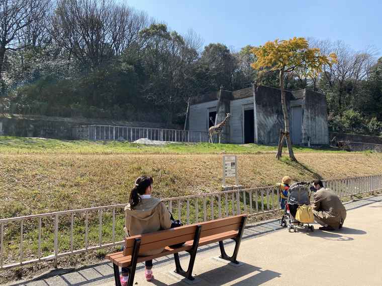 名古屋　東山動植物園　キリン舎