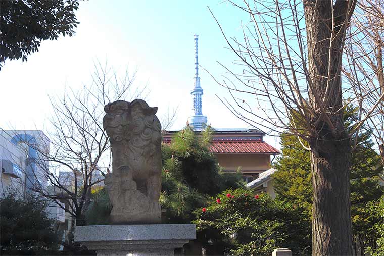 亀戸香取神社の狛犬の背後には東京スカイツリーが