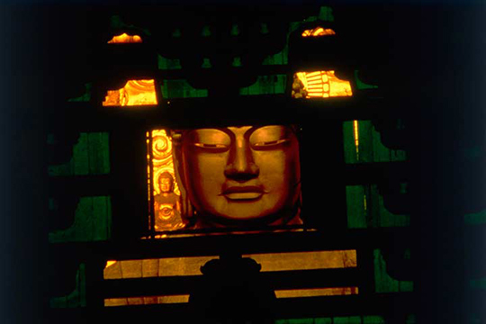大仏殿など見どころは多彩 ©奈良県ビジターズビューロー