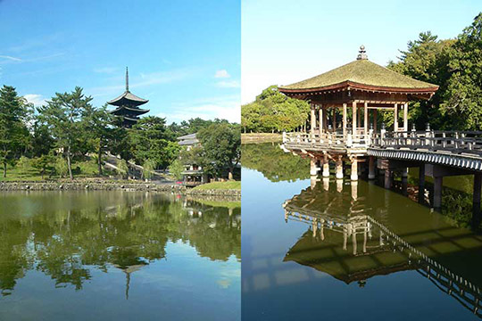 猿沢池（左）と浮見堂（右） 写真出典／今日の奈良公園