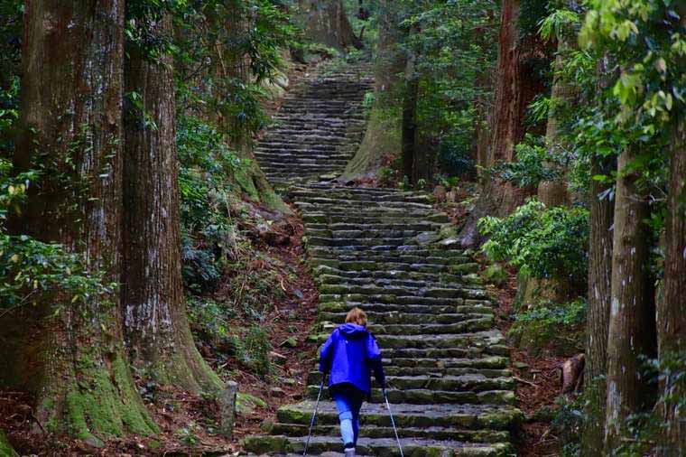 大門坂から熊野那智大社まで杉林や石段が続く