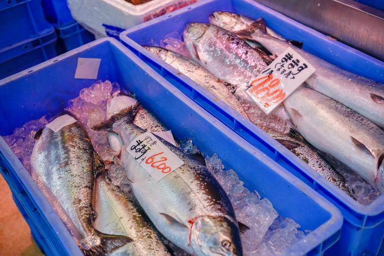 「宮古市魚市場」新鮮な海の幸