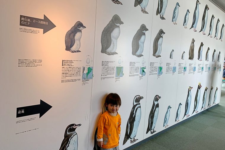 ペンギン情報室