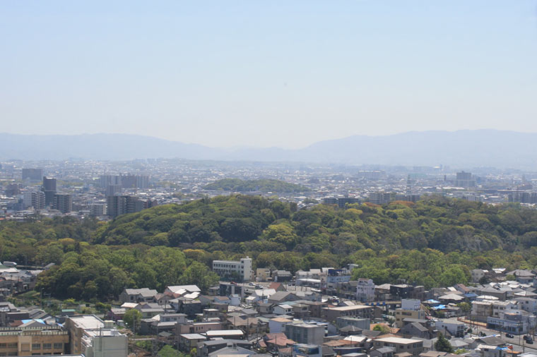 堺市役所の展望ロビー　景色