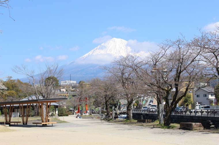 富士山本宮浅間大社から見える富士山