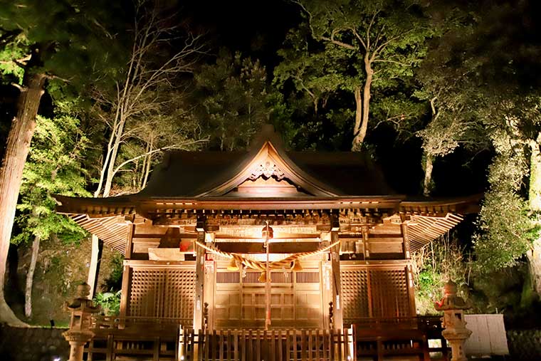 日枝神社　ライトアップ