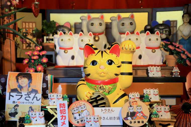 今戸神社　黄色の招き猫