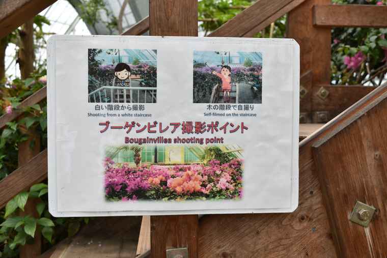 湯の川温泉　函館市熱帯植物園