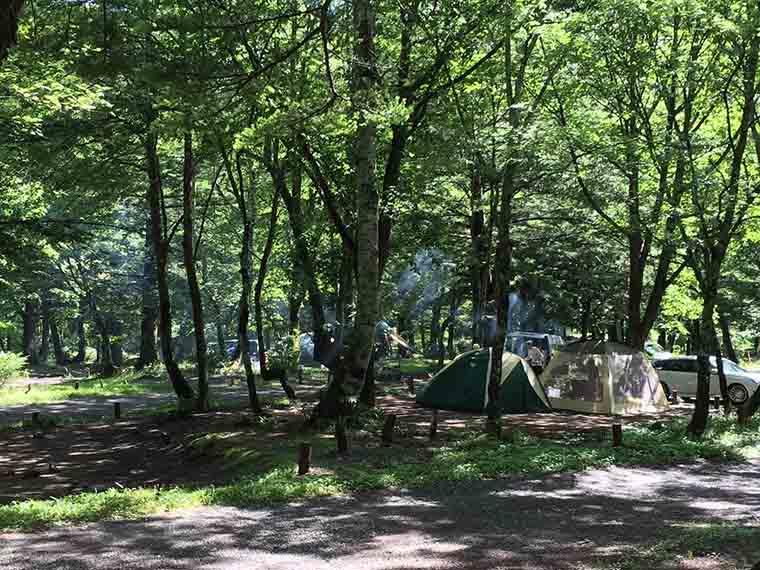 定番オートキャンプ ツリーハウス泊も おすすめキャンプ場ランキング 楽天トラベル