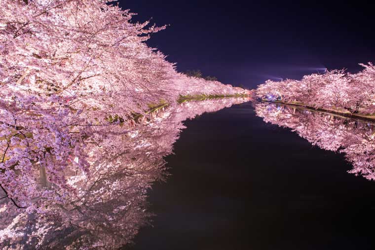 桜の 名所 県 山梨 意外とあるある！河津桜が見られる山梨長野新潟の名所や穴場スポット２５選！