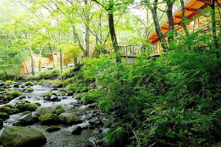 「蔵王の森」がつくる美と健康の温泉宿　ゆと森倶楽部