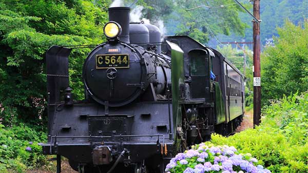 蒸気機関車に乗って郷愁の旅へ！人気のSLランキングTOP10 【楽天トラベル】