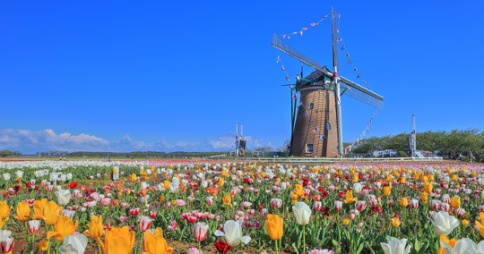 オランダ風車「リーフデ」