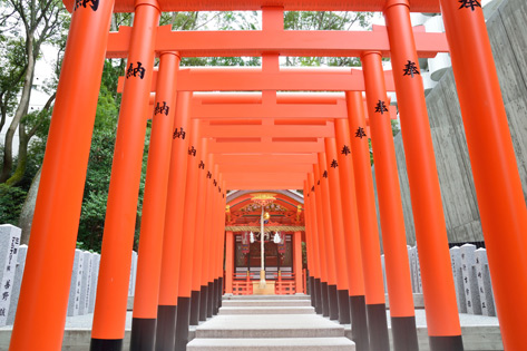 神戸観光やデートにおすすめ 神戸人気スポット41選 楽天トラベル