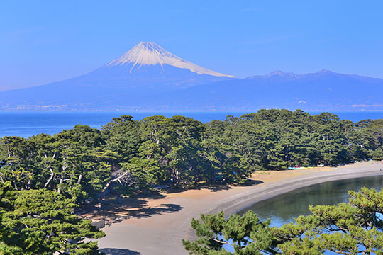 御浜岬の富士山