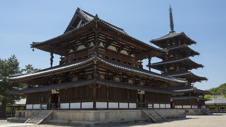 法隆寺の金堂と五重塔