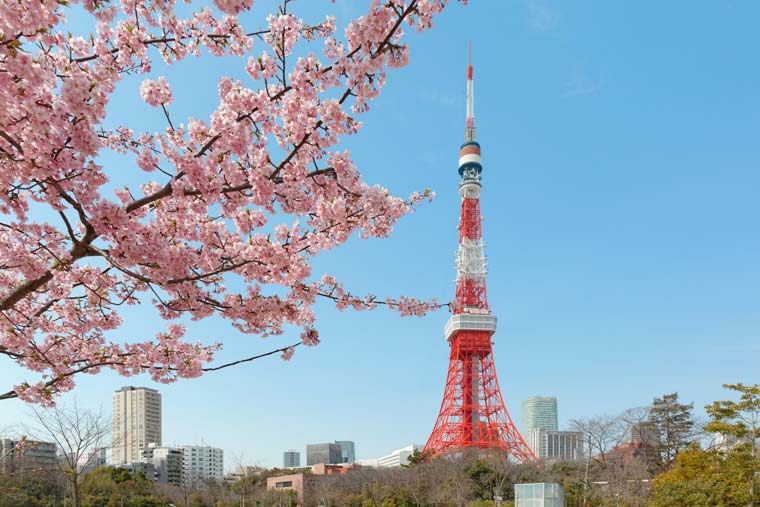 21年 東京の桜名所選 お花見 夜桜ライトアップは中止も 楽天トラベル