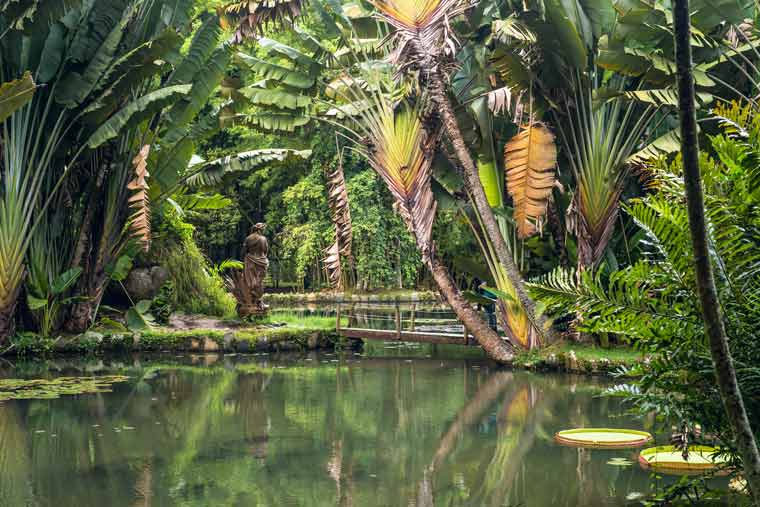 リオデジャネイロ植物園