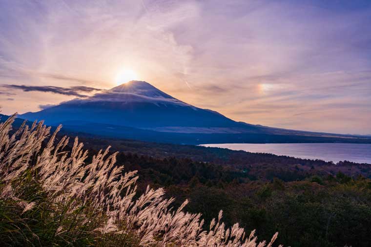 黄金色の絶景 日本国内の美しいススキの名所 楽天トラベル