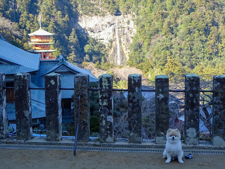 熊野那智大社から眺める那智の滝