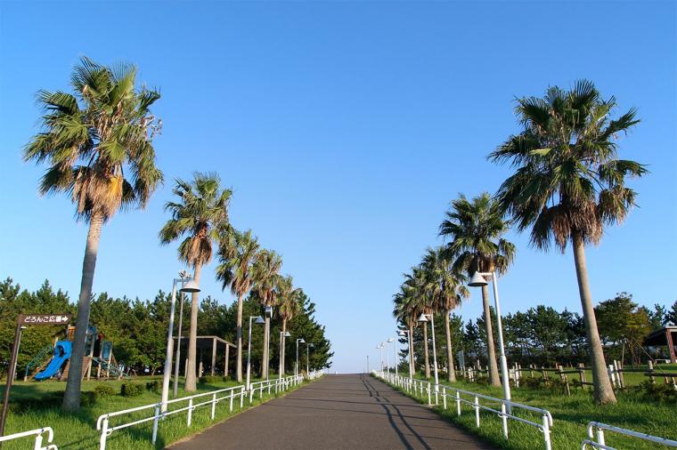 東京ベイ東急ホテル 海を見ながらお散歩＆サイクリング