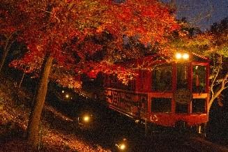 嵯峨野トロッコ列車 紅葉ライトアップ