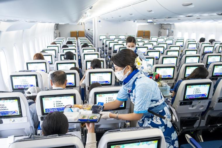 世界最大の旅客機でハワイへ！ANA「FLYING HONU（フライングホヌ）」が7月に運航再開