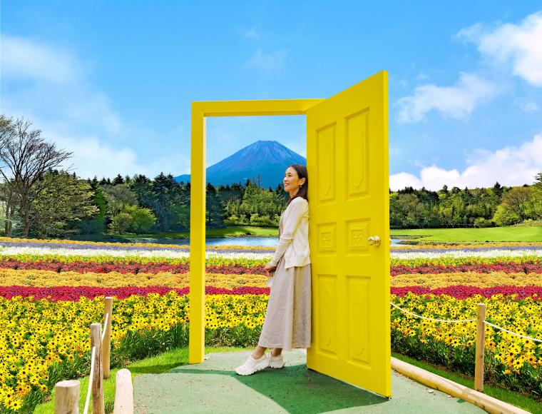 「幸せの黄色い扉」のフォトスポット