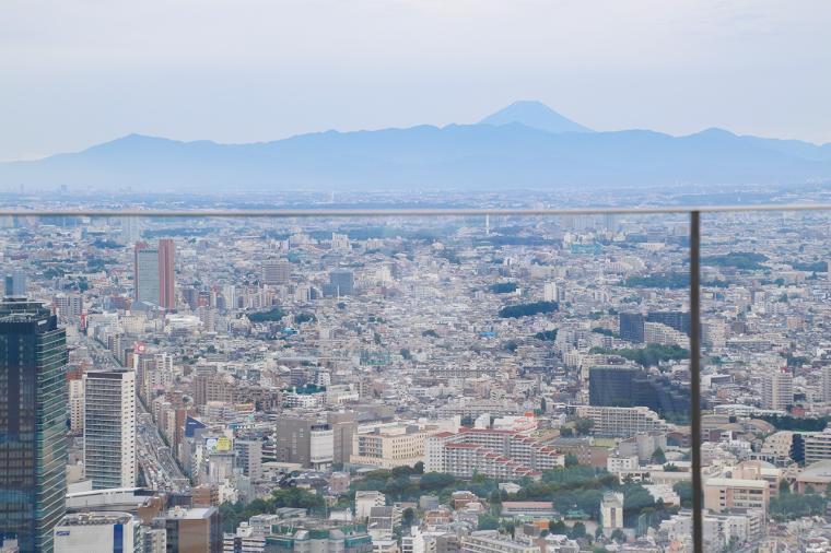 渋谷スカイからの眺望