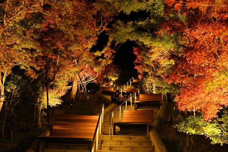 秋の紅葉の階段