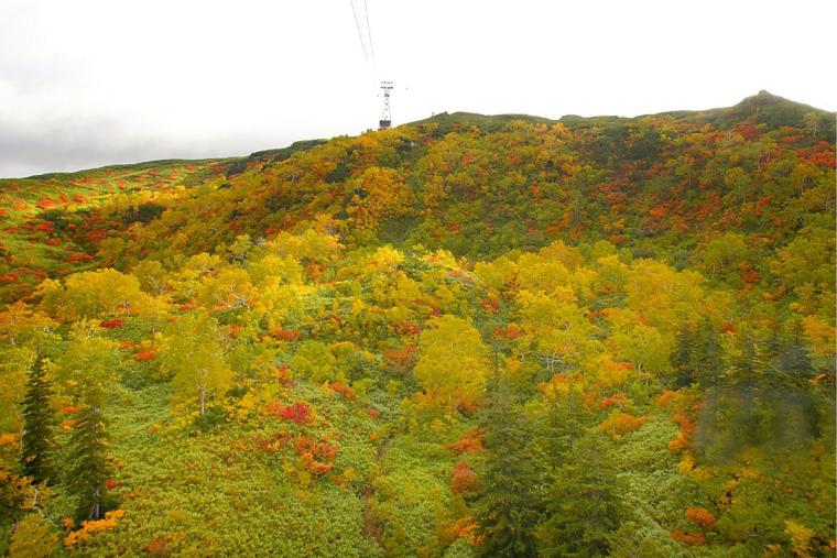 秋の見逃せない絶景！初心者でもOKの紅葉が楽しめる全国の登山スポット