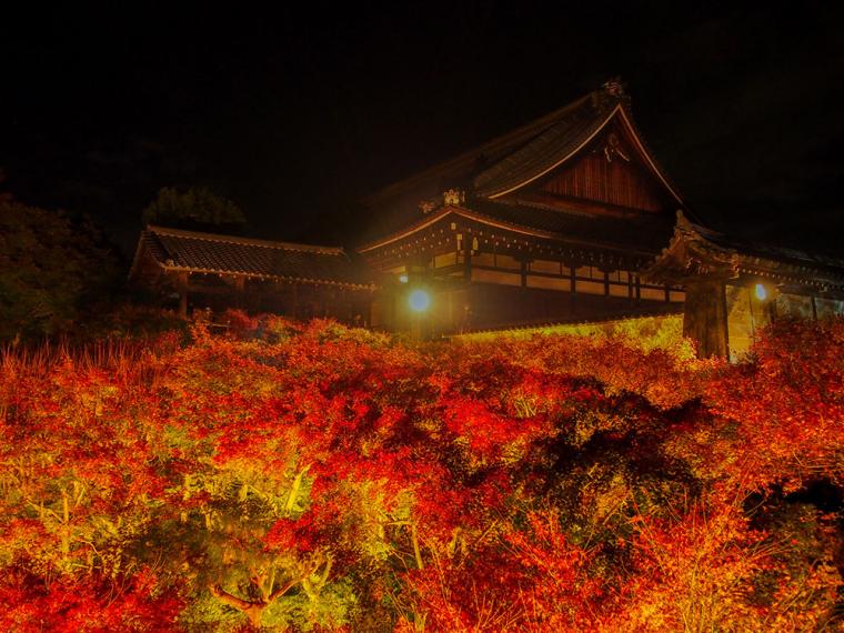 東福寺 紅葉ライトアップ