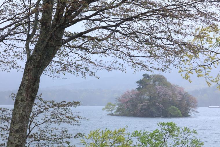 桧原湖の桜島
