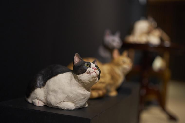 萩原朔太郎作の「猫町」をイメージした展示