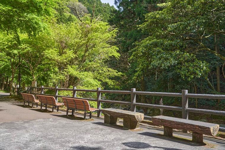 静岡「河津七滝」は滝初心者におすすめ！散歩気分で7つの滝を巡ろう