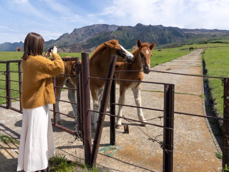 阿蘇パノラマライン坊中線から見える放牧の馬を撮影する女性