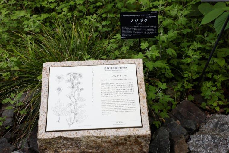 高知県立牧野植物園