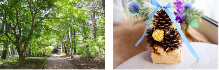 左：「KOMOROBIの森」、右：松ぼっくりアート作例