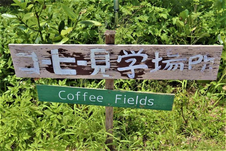 キャンプにジップラインなど非日常を体験！「又吉コーヒー園」 