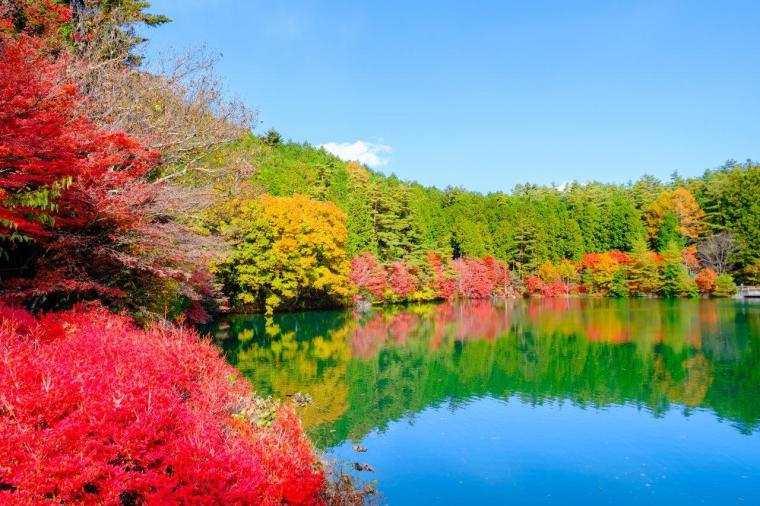 南伊奈ヶ湖周辺 紅葉