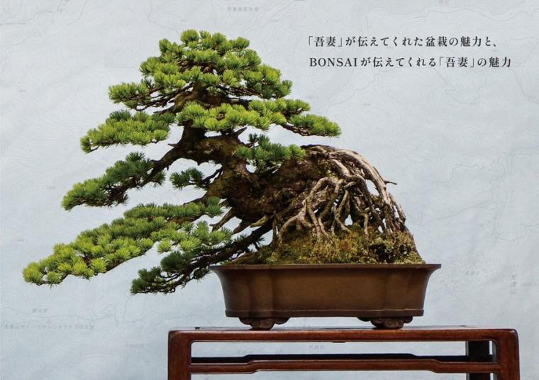 福島市内10カ所で盆栽の魅力を堪能「BONSAIジャック・プロジェクト」