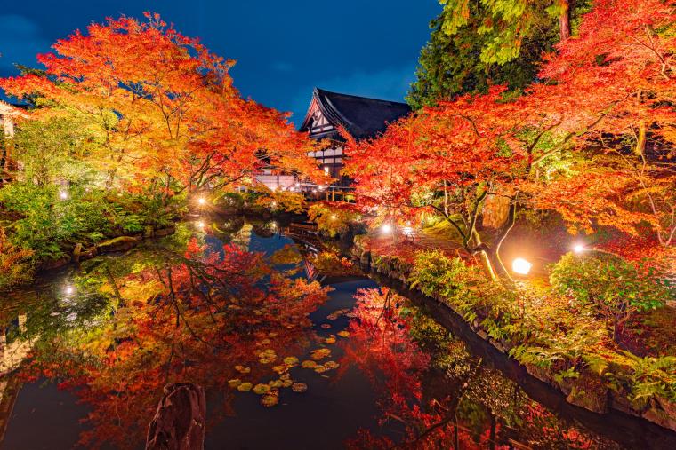 アートな街イベント「NAKED GARDEN ONE KYOTO 2023」で秋の京都を体感！