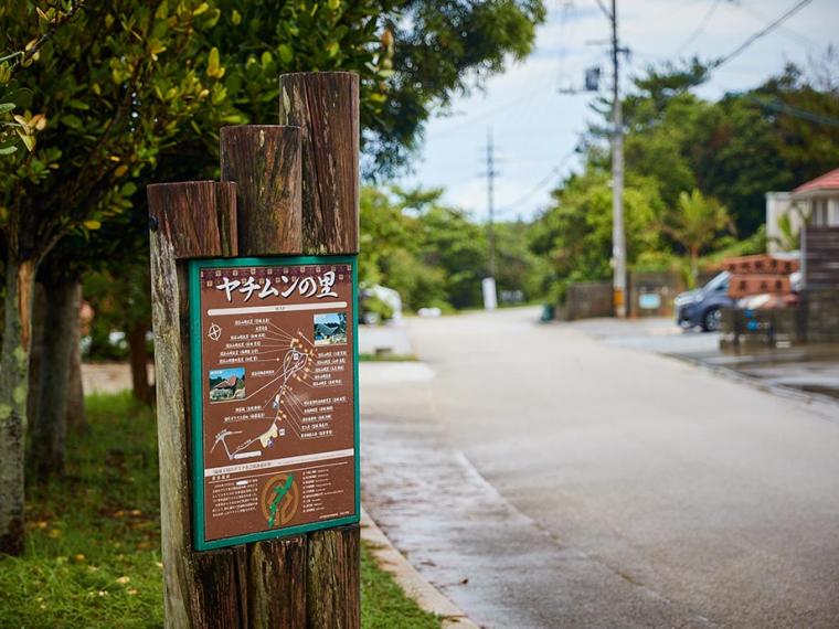 【沖縄】焼き物の里で初めての「やちむん」探し＆「ビオスの丘」