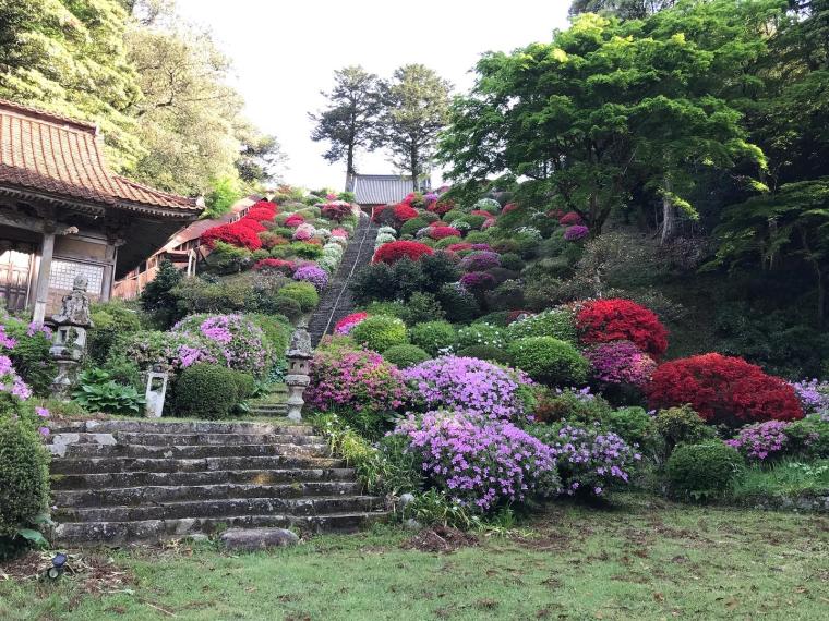 西の高野山ともいわれる島根県の「高野寺」。200 年前の色鮮やかな天井絵が圧巻！